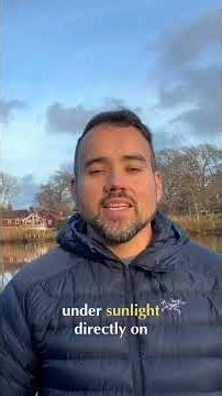 Grow Mushrooms on Cardboard & Heal Polluted Soil! #shorts