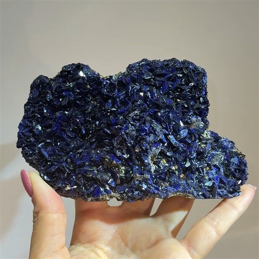 Azurite - Czar Mine, Bisbee, Cochise Co., Arizona, USA More info: https://www.irocks.com/minerals/specimen/53230 Just a gorgeous azurite plate from Bisbee! This is a classic example from the glory days of the late 1890s and early 1900s, with rich, robust, deep blue azurite crystals completely covering a plate of matrix. It is an aesthetic, balanced and beautiful cabinet piece with crystals averaging 1 cm that are randomly oriented and just scintillate and reflect light from every direction! Indi