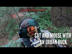 DEER EVERYWHERE!! NJ Fall Bow Hunting Urban Hunting (Self Filmed)