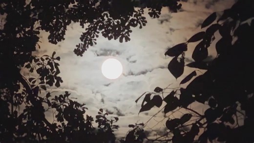 Columbus, GA -11:00PM Weather Update