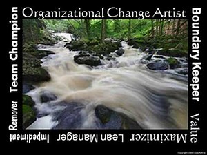 Interlocking Roles in Agile