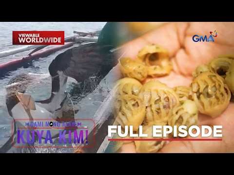 Malaking ibon, nalambat ng mangingisda!; Pagkain, tila may ngipin? | Dami Mong Alam, Kuya Kim!