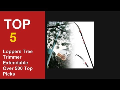 Best Loppers Tree Trimmer Extendable Over $500: Top Picks & Reviews 2026