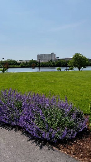 17K views · 258 reactions | The Brewer Riverwalk is the perfect place to spend a sunny day. Whether you’re walking your dog reading a book on one of the benches or just enjoying the river view. They even have a place to play chess outside. The children garden is full of beautiful flowers that can be enjoyed whether you have kiddos or not. | Destination Bangor Maine | Facebook
