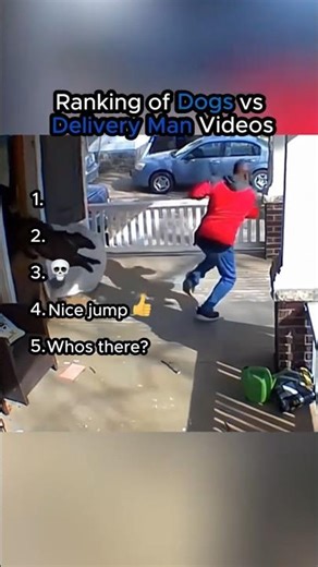 RANKING OF DOGS VS DELIVERY MAN VIDEOS