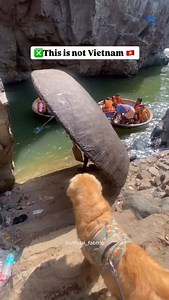 Not Vietnam, Not Thailand 🌍✨ Just summer at Hogenakkal Falls in India 🇮🇳🔥 Ride the round coracle boats at Hogenakkal Falls 🛶💦 — where every spin feels like magic and every splash feels like an adventure! ✨ Getting there is easy: from Bangalore it’s just about a 4-hour drive 🚗, or you can fly/train to Chennai then catch a bus or cab (≈ 3–4 hrs) to Hogenakkal 🛤️🚙 Would you dare to try this whirl? 😍🌀 Intro: @oscarwonderpup 🐶 | FabTrip