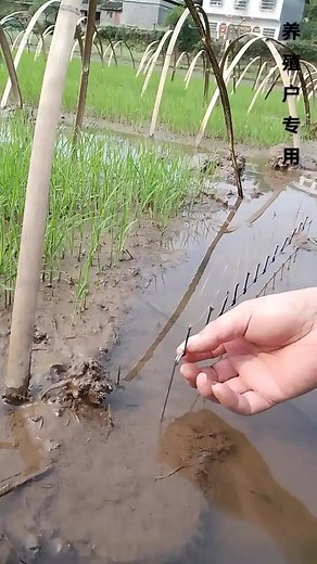 Hardware tools on TikTok