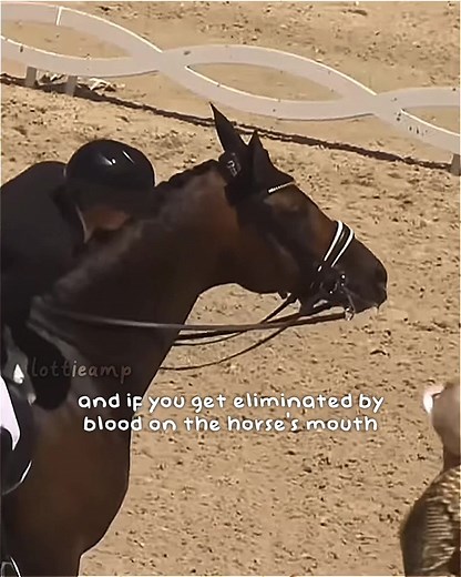 Understanding Dressage Abuse in Equestrian Sports