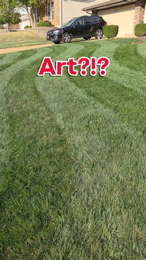 27 reactions · 9 comments | Peat moss and stripes - the perfect combo for a great looking lawn! #curbappeal #lawnmower #lawncare #stripes #lawnmowing | Mowssouri Stl | Facebook