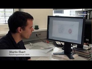 NEST - A brain simulator