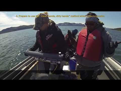 How to sample water at different depths using a Niskin sampler - English version