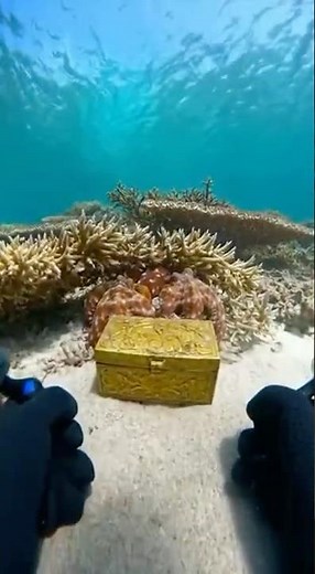 Diver's Mermaid Trap! Skittles Chest Lures Depths!