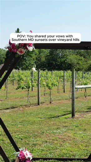Southern Maryland Couples—Your Dream Vineyard Wedding Starts Here! 💐 If you're searching for a venue that blends nature, charm, and romance—Amber View Vineyard delivers it all. Host your ceremony beside the vines, gather fireside with friends, and dance the night away beneath twinkling lights. From riverside views to scenic backdrops, everything you need is right here in one magical place. 👇 Tap “Learn More” to download our Wedding Pricing Pamphlet 👇 📍 Wedding Venue in Newburg, MD (Southern 
