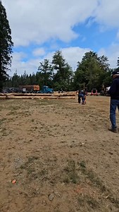 5.6K views · 431 reactions | Come on Freight Train | The Logger League | Facebook