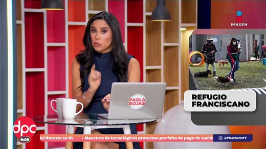 Personal del Refugio Franciscano revisa estado de perritos en el Ajusco | DPC con Paola Rojas