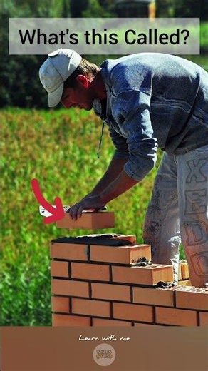 1.What's this Called? #english #foryou #learning #learnenglish #whatsthis