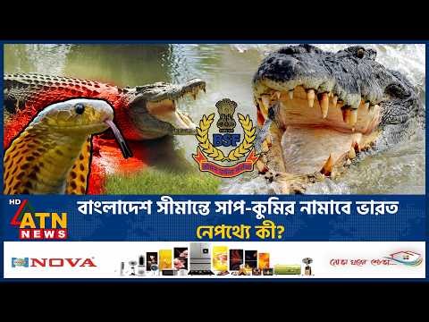 হঠাৎ যে কারণে বাংলাদেশ সীমান্তে সাপ-কুমির নামাবে ভারত | Bangladesh Border | Snake | crocodile | BSF