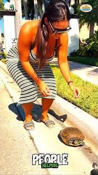 People Helping Animals | 14 Heartwarming Acts of Kindness That Will Restore Your Faith in Humanity