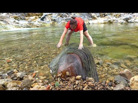 The beauty was surprised to find pearls. Shells hide pearls and eggs, earning a lot of money