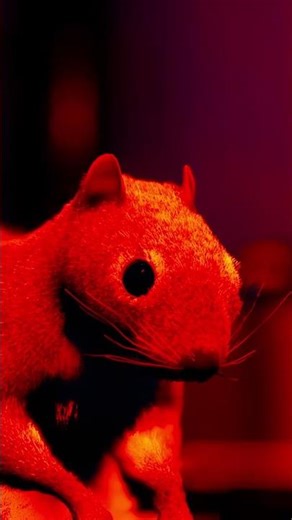 🐿️ The MOST Dramatic Squirrel You’ll See Today 😂🔫 #squirrelwithagun #shorts #gamingshorts