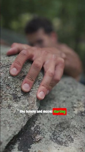 Ecological Succession Explained