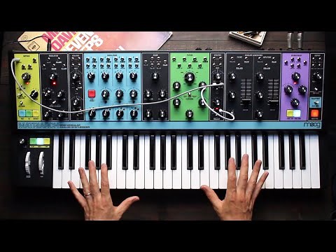 How to use the Moog Matriarch Sequencer for Expression | Overview and Demo with BlankFor.ms