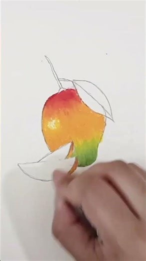 Mangoe drawing by oil pastel #shortsfeed #shorts