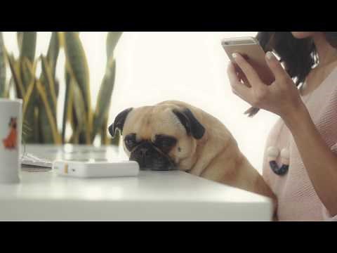 Polaroid ZIP Mobile Printer