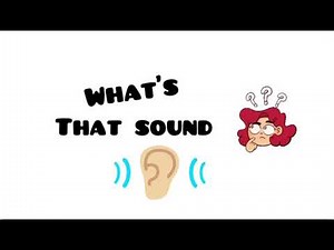 Name that Sound 👂
