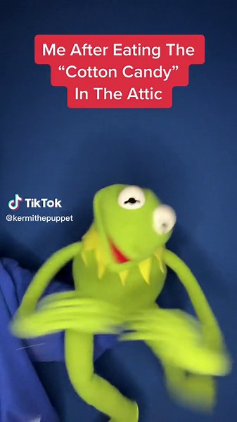 Happy Moments with Kermit the Puppet