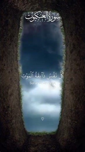 Surah Al-Ankabut (العنكبوت) | Peaceful Quran Tilawat for Stress Relief#quran #shorts