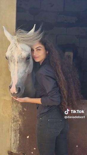 Majestic Arabian Horses: Beauty in Motion