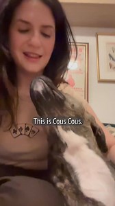 410 reactions | With Lemonade Pet Insurance, you can save up to 90% on vet bills and customize your coverage so you only pay for what you need. | Lemonade | Facebook