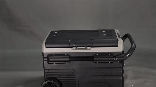 Alpicool TSW40 40L Auto Fridge Solar Battery Electric Cooler Box Refrigerator Outdoor Portable Mini Camping Freezer Car Fridges