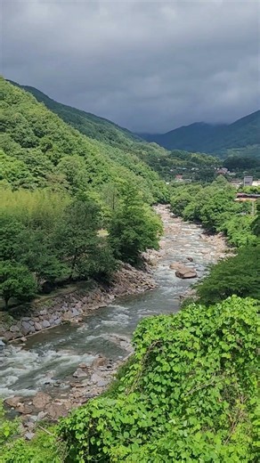 오늘 아침 지리산입니다 June.20 #내대계곡 #예치계곡 #삼성궁