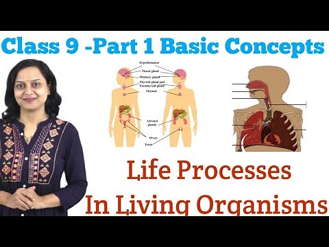 Life Processes In Living Organisms | Class 9 | Part 1 | Basic Concepts
