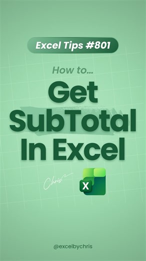 This Excel Shortcut feels illegal to know! 🤯 In this tutorial you’ll learn how to get Subtotals in Excel using shortcuts! #excel #spreadsheets #accounting #workhacks #exceltips | Excelbychris
