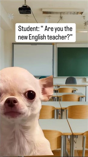 Confidence 100% 🤣