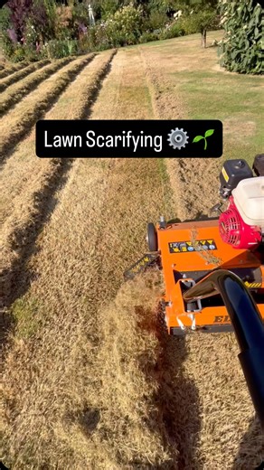 Scarifying a lawn using the @elieteurope c550zr scarifier ⚙️ 🌱 Side discharge for efficient clean up! 🤩 #lawn #lawncare #lawnporn #scarifying #garden #gardner #gardensofinstagram #landscape #drone #yorkshire #summer #uk | Heaven on Turf
