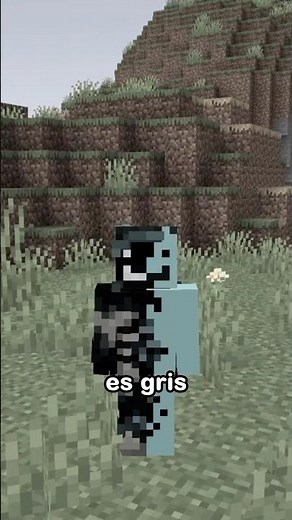 Minecraft es grisáceo 🎨