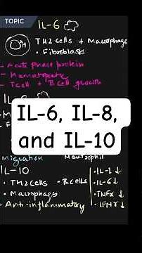 IL-6, IL-8, and IL-10: Inflammation and Immune Regulation
