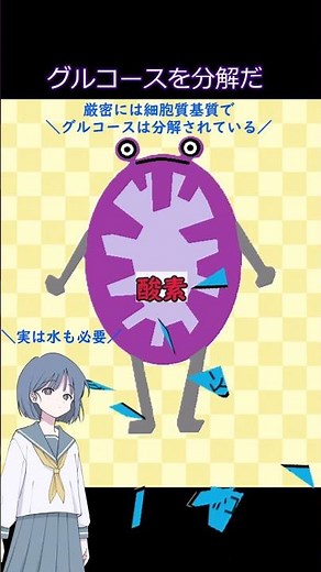 生物基礎・はたらくミトコンドリア ＃shorts #生物基礎 #高校生物 #細胞 #勉強