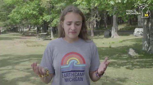 Earth and Environmental Sciences | U-M LSA Earth and Environmental Sciences