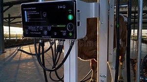 Automatic Milking System in Modern Dairy Farm. Milking System Interface Shows Data and Indicators for Cows Stock Video - Video of industry, farm: 399757113