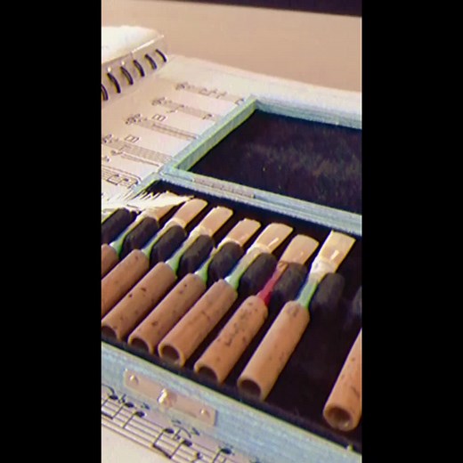 レトロ オーボエソロ ホールの響きが好き。 #オーボエ #オーボエソロ #oboe #oboesolo #オーボエ奏者 #レトロ #課題曲2023 #定演 #おすすめにのりたい #おすすめ