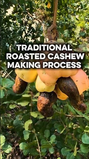Sri Lanka Traditional Roasted Cashew Making Process | Hand Roasted Cashews (Step by Step)