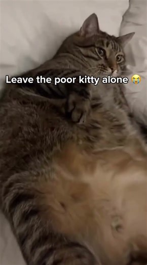 Puffy guy #tiktokdance