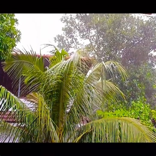 lovely bird sculpture #woodworking #carving #woodcarving | Woodworking CLASS