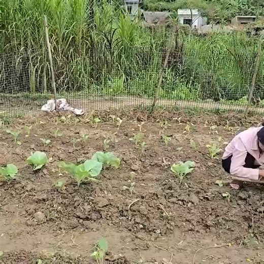 28K views · 1K reactions | Bao had problems at work, his mother came to comfort him and help him find out the truth | Boy Toy Gel Shadow | Facebook