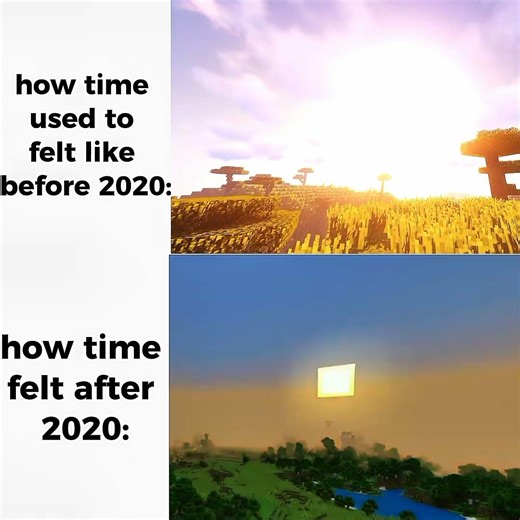 time before 2020... #viral #meme #relatable #minecraft